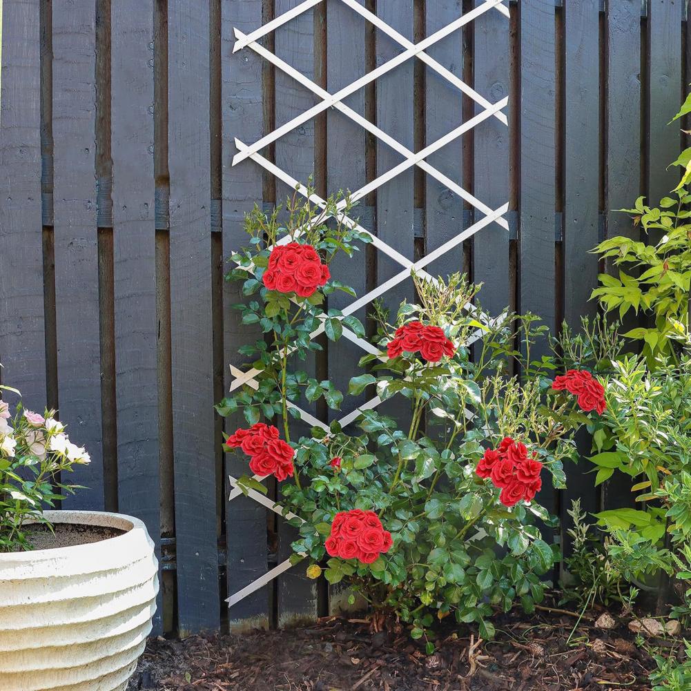 Vine Climbing Plastic - Genişletilebilir Bahçe Çardağı 70 x 12