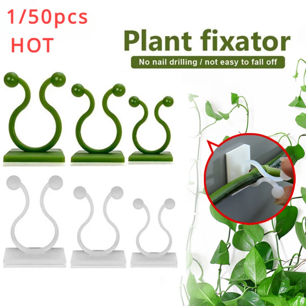 Vine Climbing Plastic - 1/30/50 adet bahçe aksesuarları için bitki