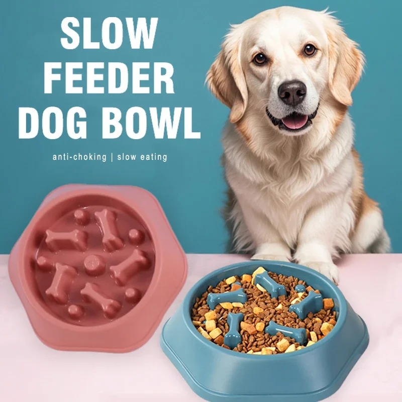 Royal Canin Food Medium - 1 Adet Yavaş Besleyici Köpek Mama