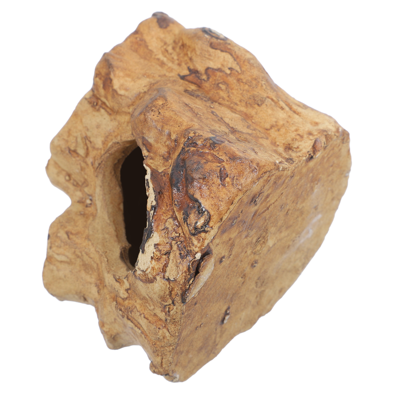 Premium Seramik Akvaryum Mağar - Hide Cave Ceramic incelemesi ve fiyatı