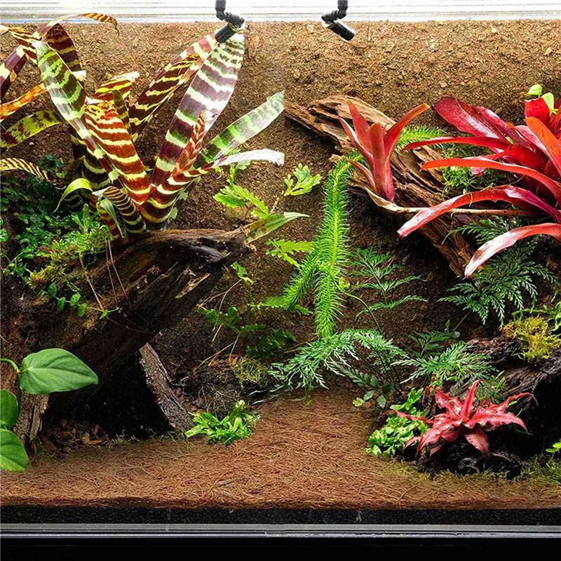 A84E-2X Doğal Hindistan Cevizi - Substrate Coconut Fiber incelemesi ve fiyatı