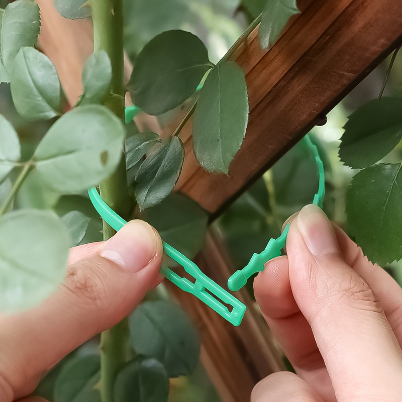 Toptan Satışta Kullanılabilir, - Vine Climbing Plastic incelemesi ve fiyatı