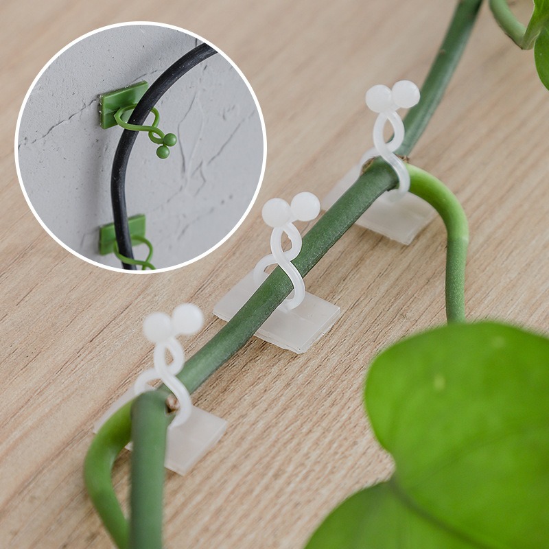 10 adet bitki duvar sabitleme  - Vine Climbing Plastic incelemesi ve fiyatı