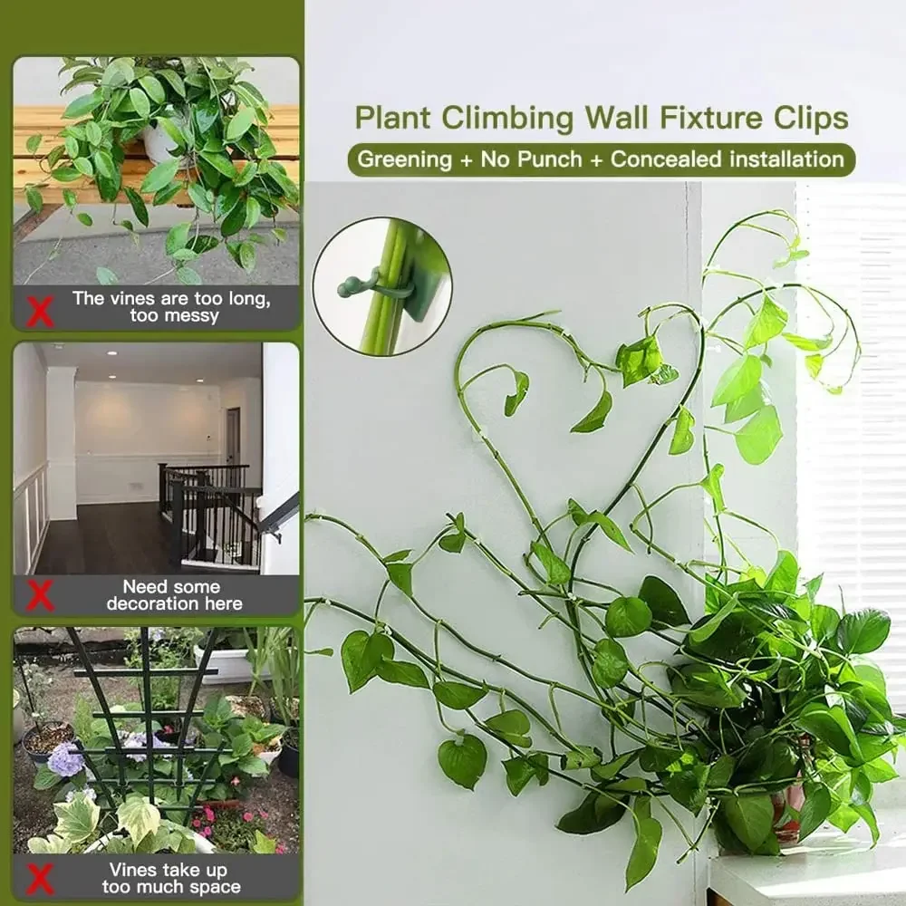 1/30/50 adet bahçe aksesuarlar - Vine Climbing Plastic incelemesi ve fiyatı