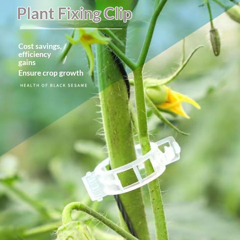 Plastik Bitki Destek Klipsleri - Vine Climbing Plastic incelemesi ve fiyatı