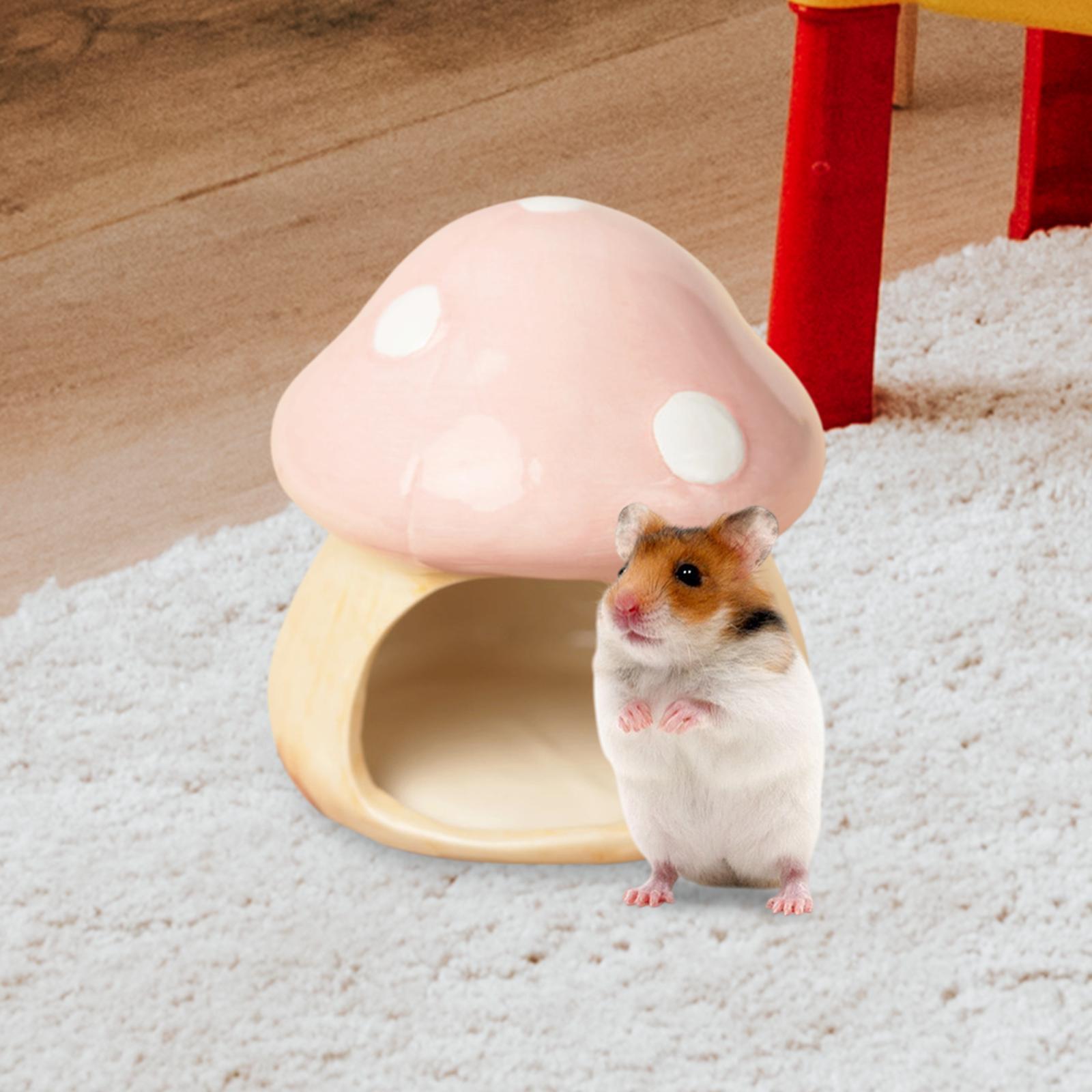 Seramik Mantar Hamster Hideout - Hide Cave Ceramic incelemesi ve fiyatı