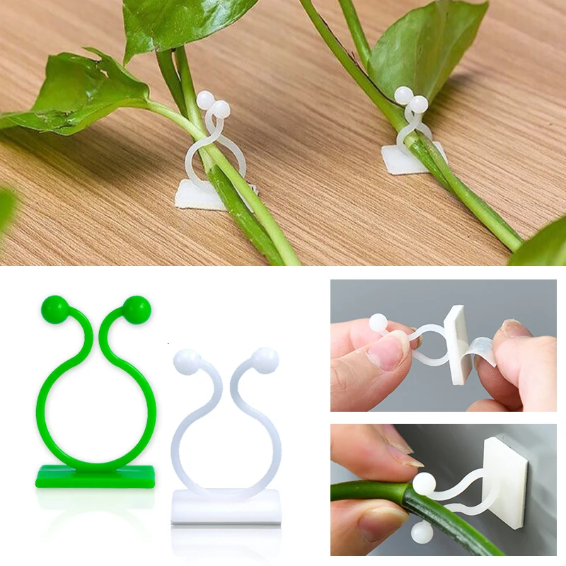 Bitki Tırmanma Duvarı Kendinde - Vine Climbing Plastic incelemesi ve fiyatı