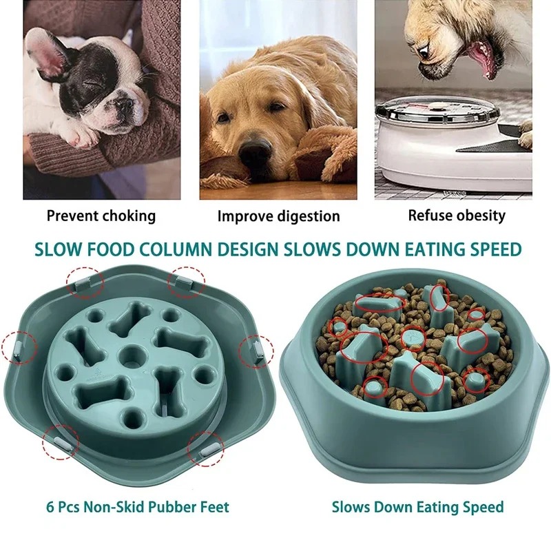 1 Adet Yavaş Besleyici Köpek M - Royal Canin Food Medium incelemesi ve fiyatı